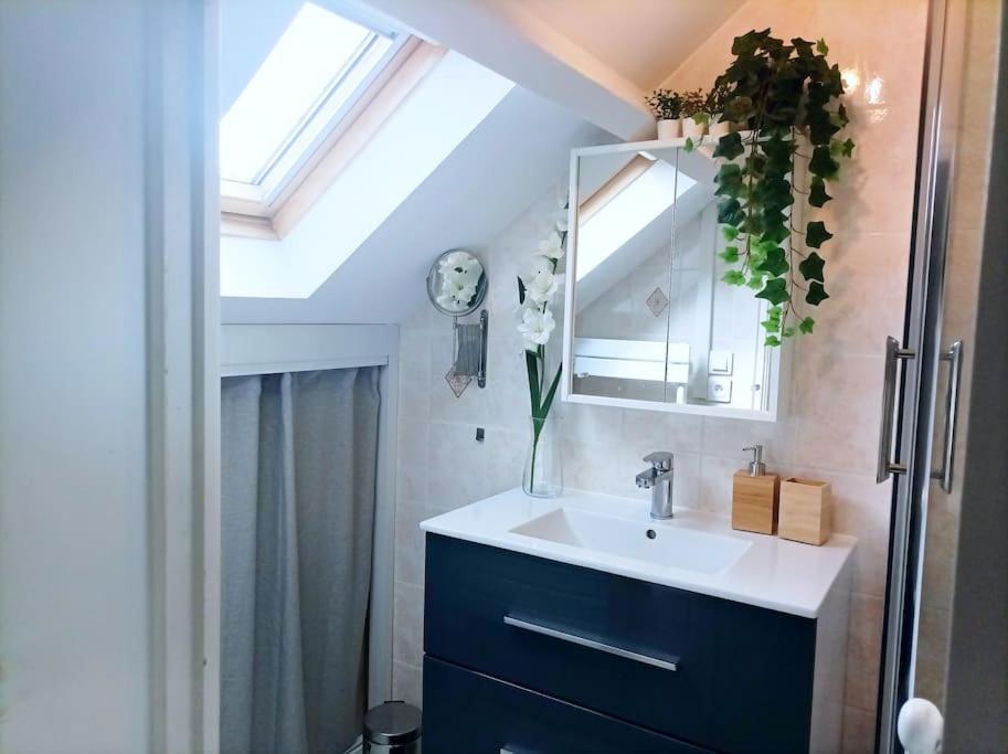Le Duplex Decontracte Apartamento Fleury-les-Aubrais Exterior foto